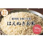 ふるさと納税 玄米 山形県 鮭川村  令和7年産 鮭川村 はえぬき 玄米 30kg （30kg×1袋） 配送時期指定可 数量限定
