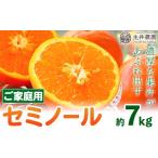果物類 みかん 柑橘 ご セミノール 約7kg