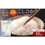 米 定期便 コシヒカリ 白米 10kg