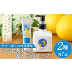 石鹸 液体せっけん ボタニカル ハンドクリーム 30g×1本