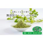 加工品等 湧水育ちの天然クレソンパウダー 1袋
