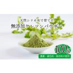 加工品等 湧水育ちの産天然クレソンパウダー1袋 100g