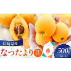 果物類 びわ 産びわ なつたより500g 2Lサイズ5個×2P