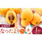 果物類 びわ 産びわ なつたより1kg 3Lサイズ4個×4P