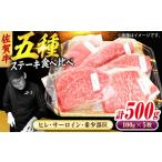 牛肉 サーロイン 佐賀牛 ステーキ 5種