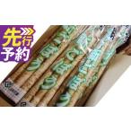 人参 大根 他根菜 JAくま産 球磨の新ごぼう 3kg