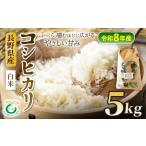 米 コシヒカリ 令和8年産 5kg