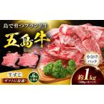 牛肉 6回定期便 五島牛 牛すじ1kg 500g×2P