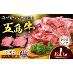 牛肉 12回定期便 五島牛 牛すじ1kg 500g×2P