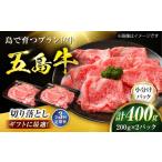 牛肉 3回定期便 五島牛 切り落とし 400g