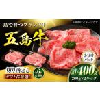 牛肉 6回定期便 五島牛 切り落とし 400g