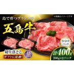 牛肉 12回定期便 五島牛 切り落とし 400g