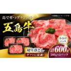 牛肉 五島牛 切り落とし 600g