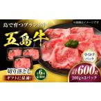 牛肉 6回定期便 五島牛 切り落とし 600g
