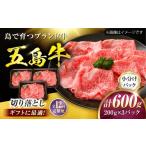 牛肉 12回定期便 五島牛 切り落とし 600g