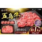 牛肉 12回定期便 五島牛 切り落とし 1kg