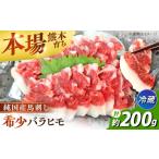 馬肉 令和8年熊本地震復興支援 冷蔵 純 馬