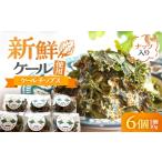 スナック 駄菓子 ケールチップス CafeSeasons
