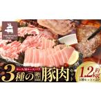 肉 ハム 3種の絶品豚肉セット ロース 肩ロース