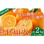 みかん 不知火 約2kg