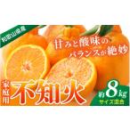 みかん 不知火 約8kg