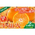 みかん 不知火 約2kg