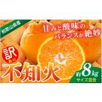 みかん 不知火 約8kg