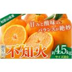 みかん 不知火 約4.5kg