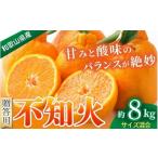 みかん 不知火 約8kg
