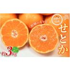 産せとか 約3kg