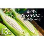 朝採れ 濃い甘さの白いとうもろこし ホワイトコーン 13本