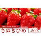 ふるさと納税 いちご 香川県 高松市  大収穫祭・感謝企画 数量限定 さぬきひめいちご　約500g