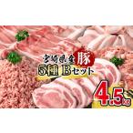 産豚肉 満載Aセット4.5kg 小分け