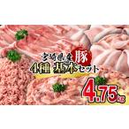 産豚肉 満載セット4.75kg 小分け