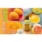 菓子 プリン 3カ月定期便 かぼちゃスイーツ定期便