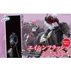 エイシンフラッシュ タペストリー 馬 競馬