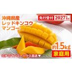 ミナミマンゴーハウスの赤金煌 レッドキンコウ