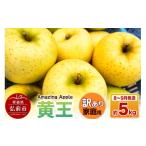 ショッピングふるさと納税 訳あり 傷 ふるさと納税 りんご 青森県 弘前市  寄附金額見直しました 26年8月下旬〜9月発送 りんご 黄王 訳あり 家庭用 約5kg 青森産 りんご 黄王 きおう アップル 林檎…