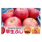 ショッピングふるさと納税 訳あり 傷 ふるさと納税 りんご 青森県 弘前市  寄附金額見直しました 26年10月発送 りんご 早生ふじ 訳あり 家庭用 約5kg 青森産 りんご 早生ふじ アップル 林檎 リンゴ…