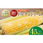 とうもろこし 令和9年発送 SUNちゃん農園産