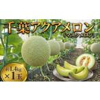メロン メロン青肉 通年発送 アクアメロン 約1.4kg