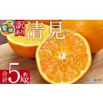 ふるさと納税 果物類 みかん 愛媛県 西予市  訳あり 清見 (サイズ混合) 約5kg 愛媛 蜜柑 ミカン みかん 果物 フルーツ 柑橘 国産 きよみ 訳アリ ご家庭用 愛媛…