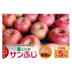 ショッピングふるさと納税 訳あり 傷 ふるさと納税 りんご 青森県 弘前市  寄附金額見直しました 26年12月発送 りんご 葉とらずサンふじ 訳あり 家庭用 約5kg りんご サンふじ 葉とらず ふじ 訳あ…