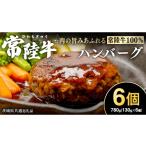 ショッピングふるさと納税 ハンバーグ ふるさと納税 牛肉 ハンバーグ 茨城県 牛久市  常陸牛100% ハンバーグ 6個 ( ソース付 ) ( 茨城県共通返礼品 ) 牛肉100% 国産 ブランド牛 常陸牛 牛肉 肉 牛 …