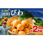 fu.... налог фрукты вид локва Кагосима префектура Кагосима город .. утро .. Кагосима Sakura остров производство локва 2 коробка ( превосходящий товар ) K343-001_02