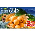 fu.... налог фрукты вид локва Кагосима префектура Кагосима город .. утро .. Кагосима Sakura остров производство локва 3 коробка ( превосходящий товар ) K343-001_03