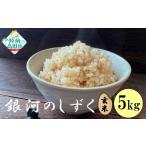 ふるさと納税 玄米 岩手県 陸前高田市  3ヶ月定期便 令和7年産 玄米 5kg×3ヶ月お届け 品種：銀河のしずく 米 お米 ライス 岩手県 オリジナル ブランド米 お弁…