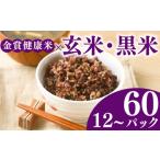 ご飯パック 金賞 健康米 玄米 黒米 120g×48個入り