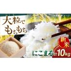 にこまる 玄米品質1等米 白米 10kg