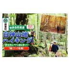 体験チケット ガイドと歩く世界自然遺産